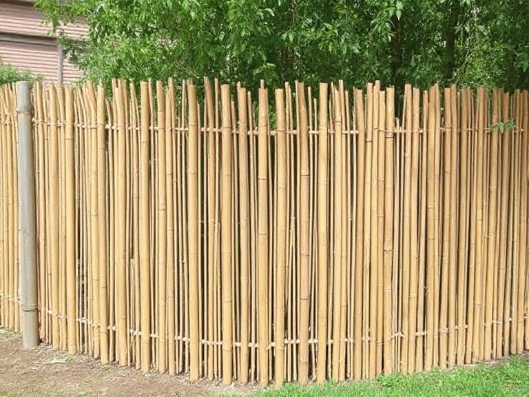4 Cheapest Ways to Screen a Garden (With Durable, Modular Options)