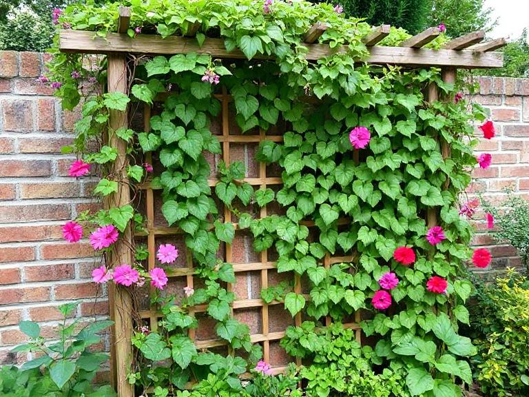 12 Garden Privacy Screen Ideas for 2025: Enhance Your Outdoor Space