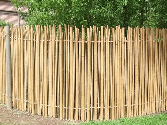 4 Cheapest Ways to Screen a Garden (With Durable, Modular Options)